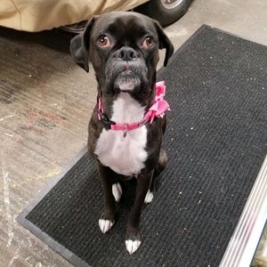 Meet your Posher, Holly